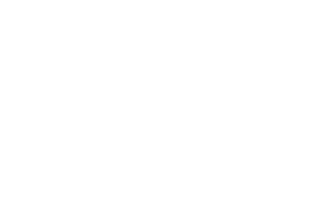 Funarj